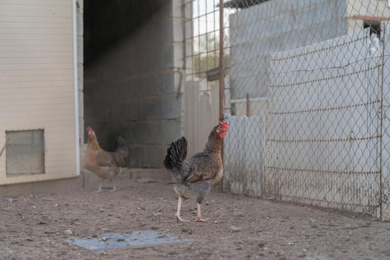 Alojamiento Rural Junto A Via Verde オルベラ エクステリア 写真