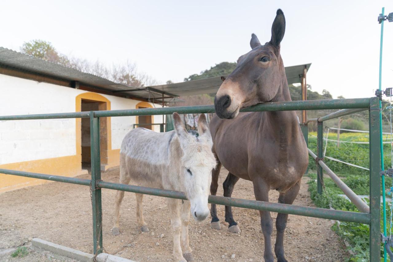 Alojamiento Rural Junto A Via Verde オルベラ エクステリア 写真